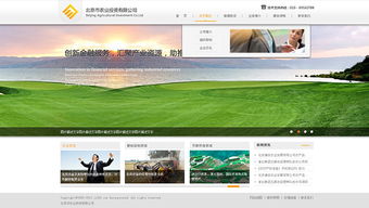 網思中國 高端網站定制與建設維護的行業(yè)典范